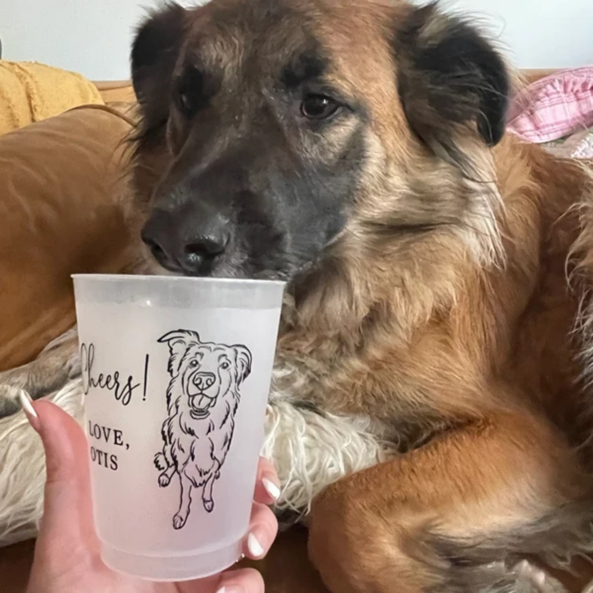 10/50 Personalized Barn Weddin - Plastic Cup 50Pcs 评论和价格